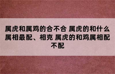 属虎和属鸡的合不合 属虎的和什么属相最配、相克 属虎的和鸡属相配不配